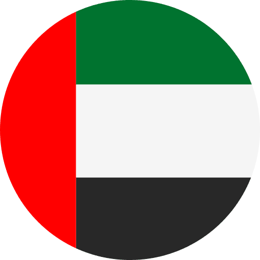 Dubai flag